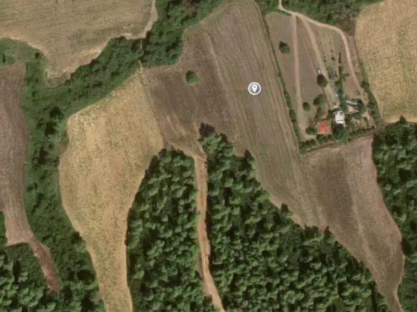 Land In Kassandra, Greece