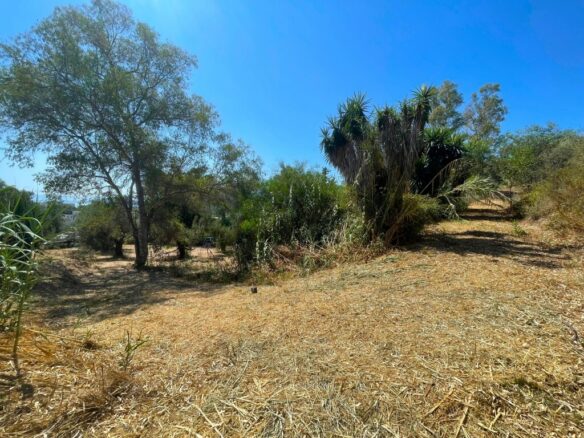 Land In Corfu, Greece