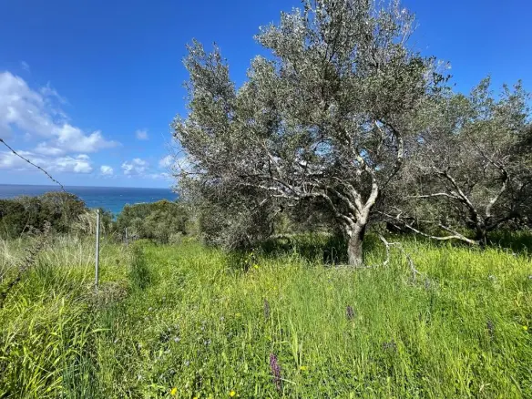 Land In Corfu, Greece