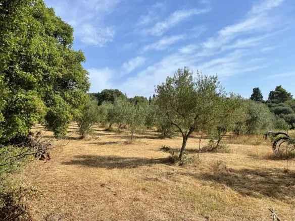 Land In Corfu, Greece