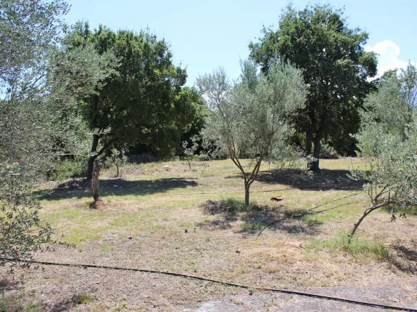 Land In Litochoro, Greece