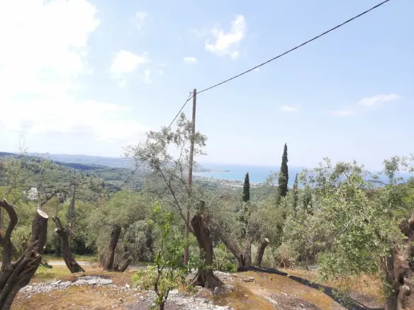 Land In Corfu, Greece