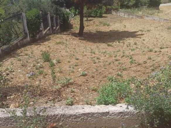 Land In Panorama, Greece