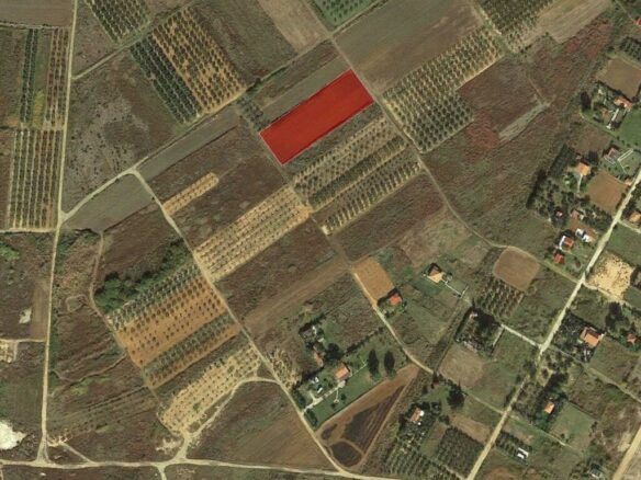Land In Kassandra, Greece