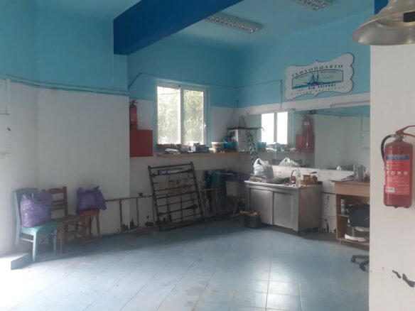 Business In Goudi, Greece (64 M²)