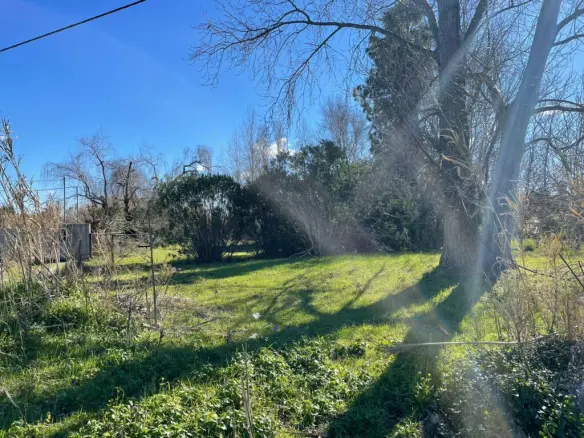 Land In Corfu, Greece (100 M²)