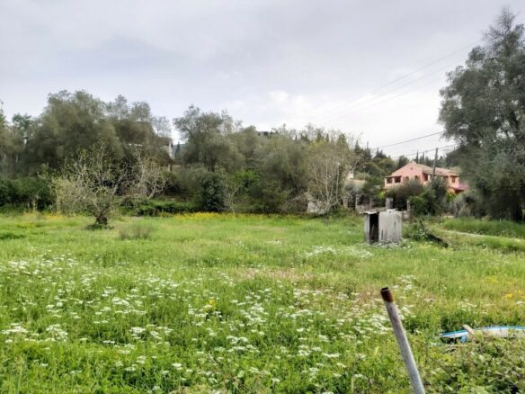 Land In Corfu, Greece