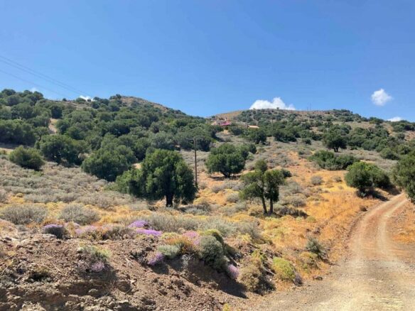 Land In Viannos, Greece