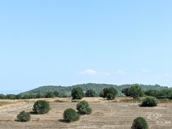 Land In Kassandra, Greece