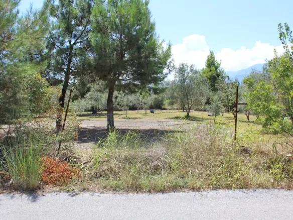 Land In Litochoro, Greece
