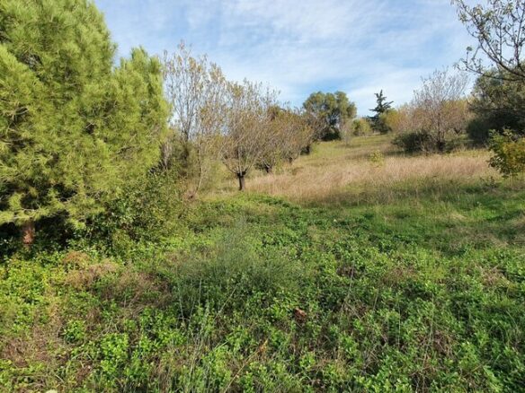 Land In Nea Propontida, Greece