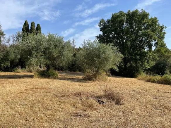 Land In Corfu, Greece