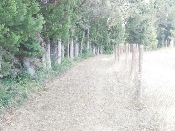 Land In Corfu, Greece