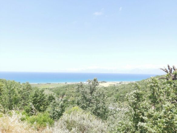 Land In Corfu, Greece