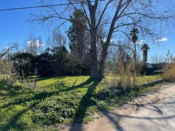 Land In Corfu, Greece (100 M²)