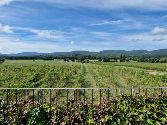 C1463 Historic Luxury Villa In Siena, Tuscany With Modern Amenities