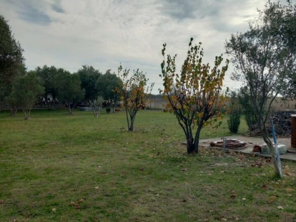 Land In Nea Propontida, Greece