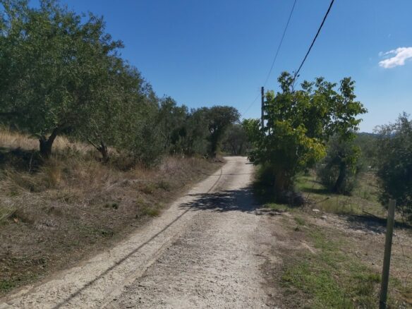Land In Corfu, Greece