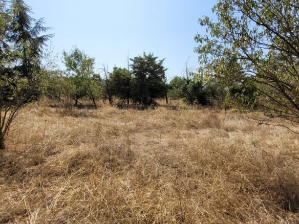 Land In Thermi, Greece