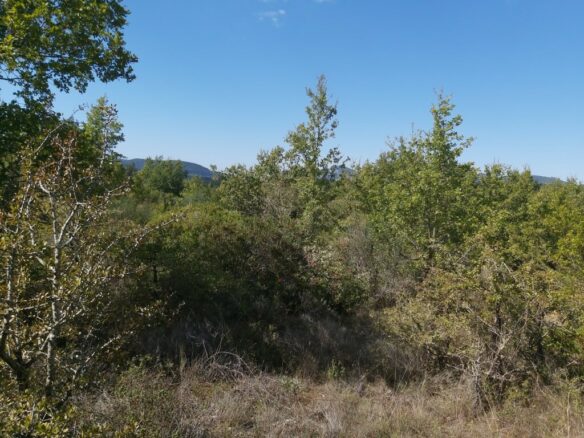 Land In Corfu, Greece