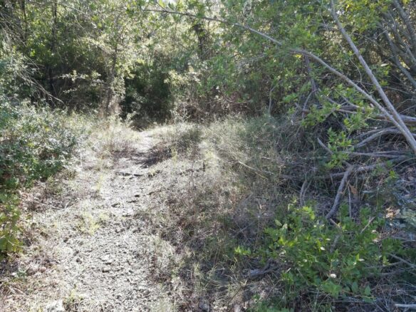 Land In Corfu, Greece