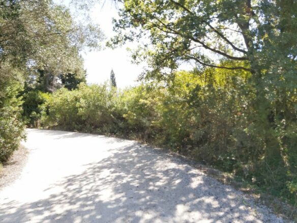 Land In Corfu, Greece