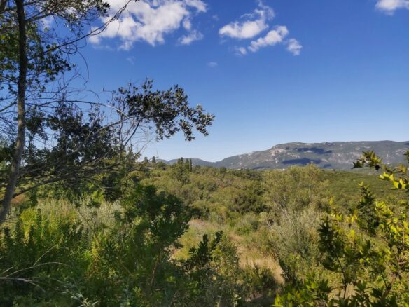 Land In Corfu, Greece