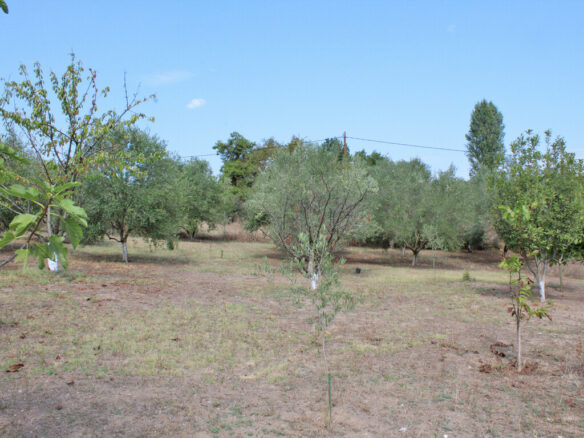 Land In Methoni, Greece