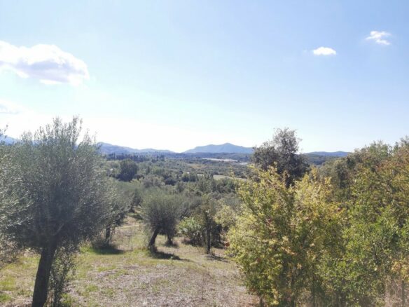 Land In Corfu, Greece