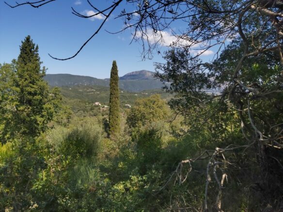 Land In Corfu, Greece
