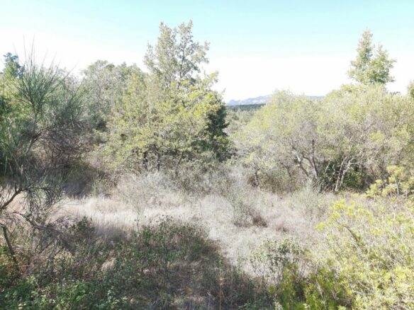 Land In Corfu, Greece