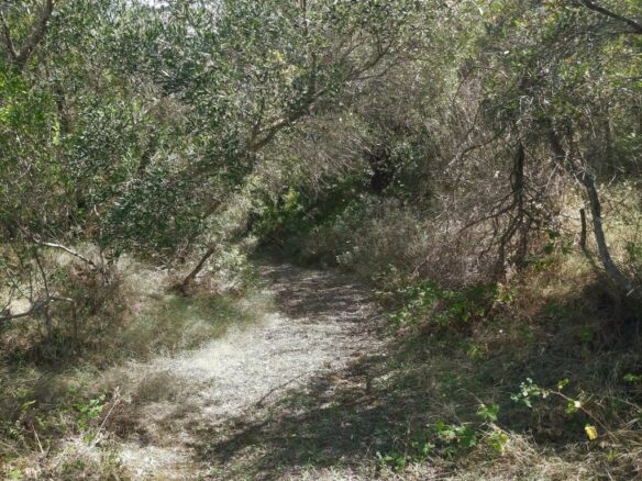 Land In Corfu, Greece