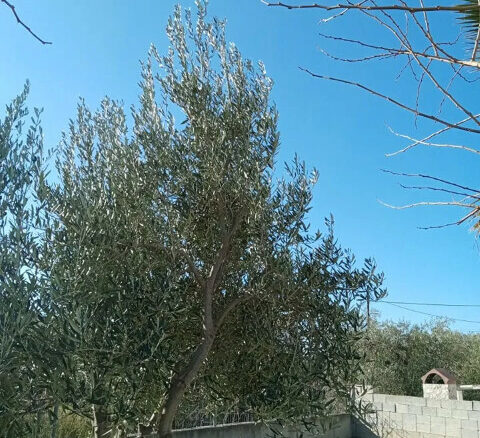 2-bedroom Detached House In Thasos, Greece (87 M²)