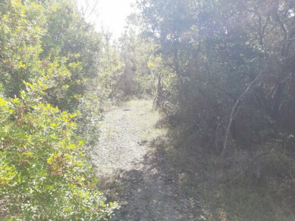 Land In Corfu, Greece