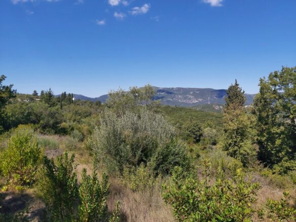Land In Corfu, Greece