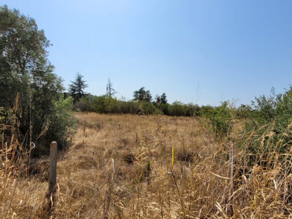 Land In Thermi, Greece