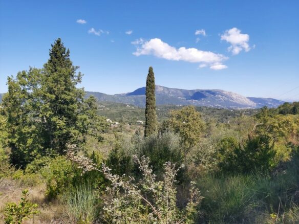 Land In Corfu, Greece