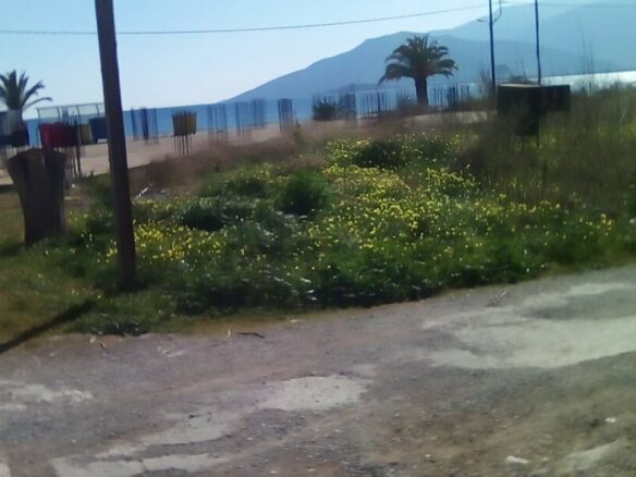 Land In North Kinouria, Greece