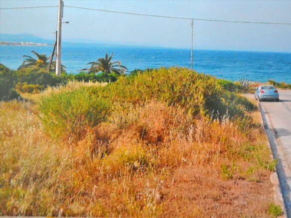 Land In Artemida (loutsa), Greece