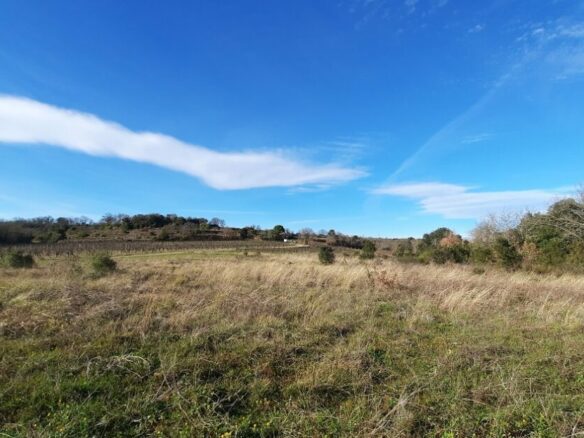 Land In Saint Genies De Fontedit, France (4.620 M² Plot)