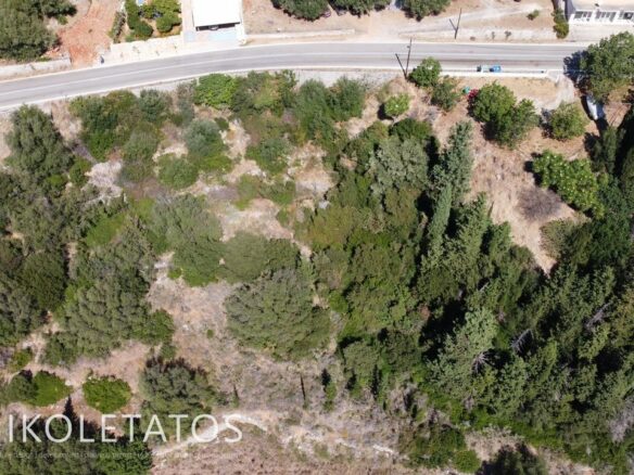 Prime Plot Available In Greece With Development Potential