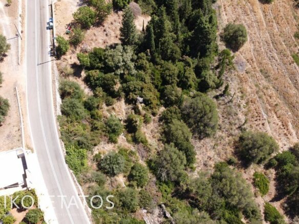 Prime Plot Available In Greece With Development Potential