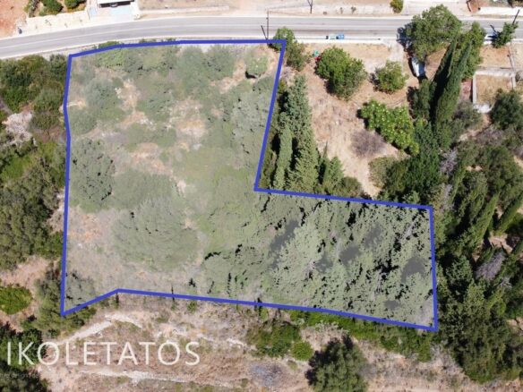 Prime Plot Available In Greece With Development Potential