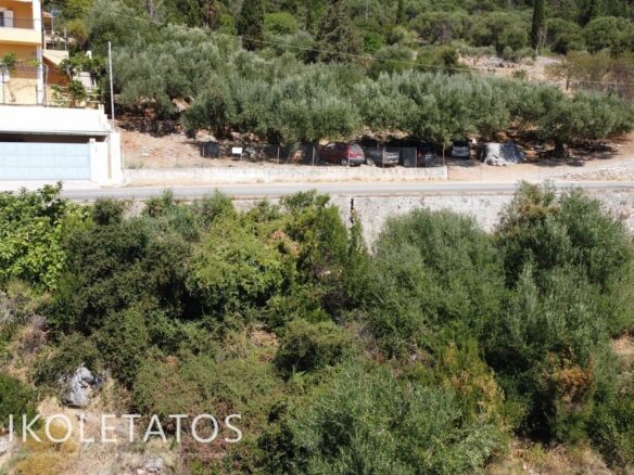 Prime Plot Available In Greece With Development Potential