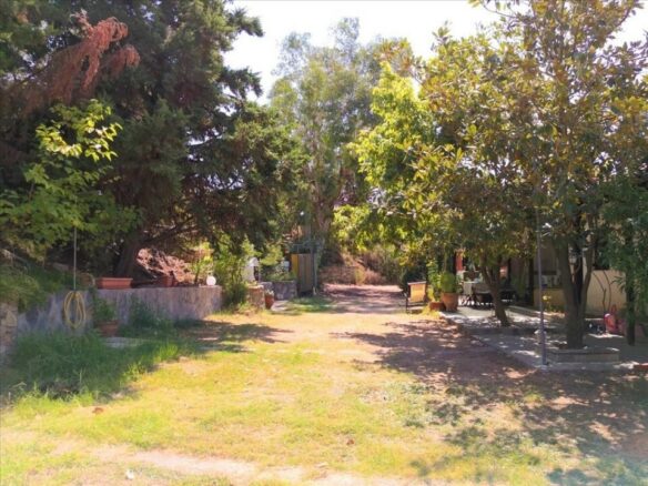 1-bedroom Flat In Sithonia, Greece (40 M²)