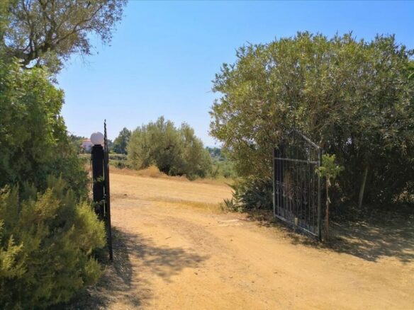 1-bedroom Flat In Sithonia, Greece (40 M²)