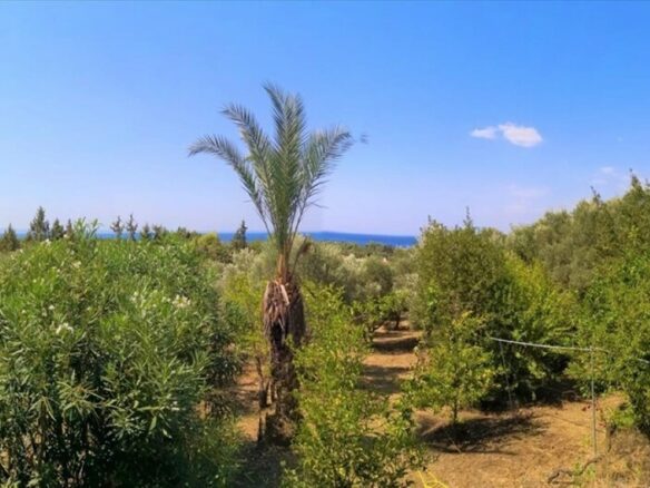 1-bedroom Flat In Sithonia, Greece (40 M²)
