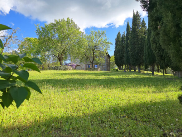 C618 Expansive Tuscan Estate In Siena Province, Sinalunga
