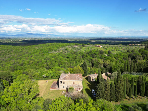 C618 Expansive Tuscan Estate In Siena Province, Sinalunga