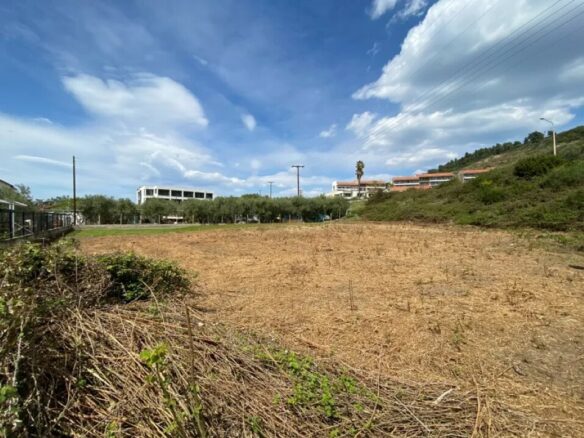 Land In Sithonia, Greece
